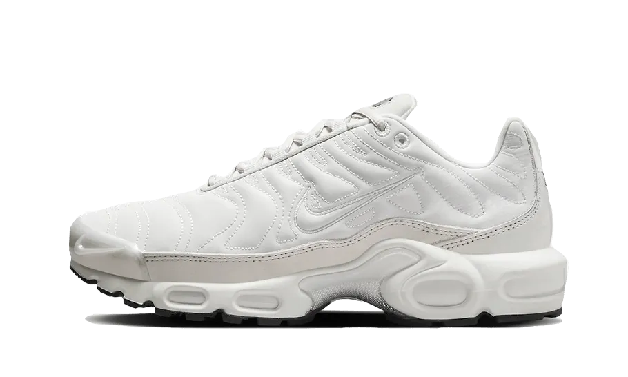 Reflective Platinum Nike Air Max Plus