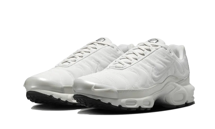 Reflective Platinum Nike Air Max Plus